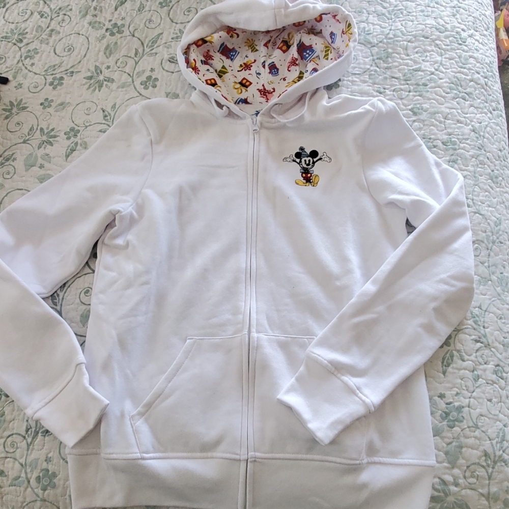 Disneyland resort sweater